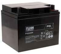 FIAMM Batterie au plomb rechargeable FG24204 Vds