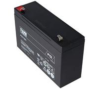 Fiamm FG11201 Blei Akku 6 Volt 12Ah