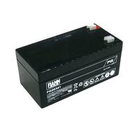 Fiamm FG20341 Batterie au Plomb Rechargeable 12V 3,4Ah