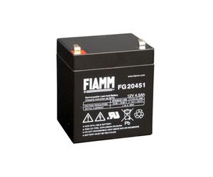 Fiamm - FG20451 - Batterie au plomb 12 V, 4 500 mAh