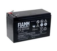 FIAMM FG20722 Batterie au Plomb 12V, 7200mAh