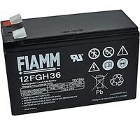 FIAMM IC-12FGH36 Batterie au plomb 12 V 9 Ah (Faston 6,3 mm)