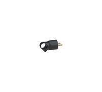 Fiche Male 16A 2P+T En Plastique Avec Anneau D'Extraction Noir
