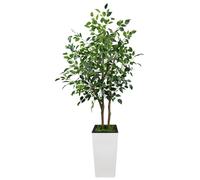 Ficus artificiel - Arbre décoratif de 150 cm (5 pieds) - Feuilles en soie réalistes - Résistant aux UV - Grand pot blanc - Idéal pour la décoration intérieure