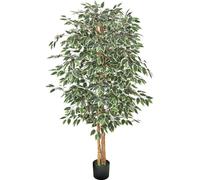 Ficus artificiel, hauteur 1,8 m, avec un pot noir. Plante artificielle de type ficus, avec un tronc en bois naturel et des feuilles vertes réalistes
