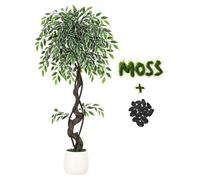 Ficus artificiel - Plante d'intérieur de 120 cm de hauteur, pour mise en pot - Feuilles réalistes - Tige tordue - Pot en céramique blanc avec mousse et pierres - Vert