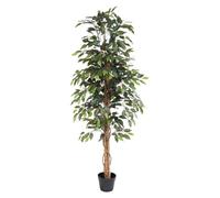 Ficus benjamina artificiel de 160cm, ficus benjamina en pot - Art - Benjamin au