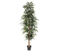 Ficus benjamina artificiel (figuier de Barbarie) de 205cm en pot, très grand et
