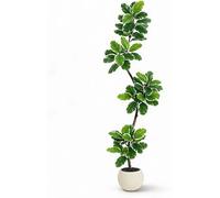 Ficus lyrata artificiel - Arbre décoratif - 180 cm - Polyéthylène (PE) - Pot de plantation - Mousse naturelle - Feuilles très réalistes - Décoration d'intérieur