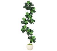 Ficus lyrata artificiel, également appelé "figuier violon" - Plante d'intérieur en pot, hauteur d'environ 210 cm (7 pieds) - Plante artificielle réaliste pour intérieur - Pot moderne blanc avec mousse