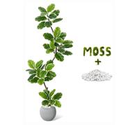 Ficus lyrata artificiel - Plante artificielle de 210 cm - Feuilles très réalistes - Pré-assemblée dans un pot de culture - Décoration d'intérieur pour salon et bureau - Vert