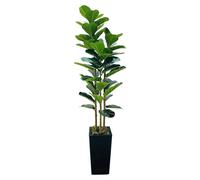 Ficus lyrata artificiel - Plante d'intérieur, 150 cm - Avec pot noir - Tige en bois naturel - Plastique - Idéal pour la maison et le bureau
