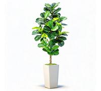Ficus Lyrata artificiel - Plante d'intérieur de 180 cm en pot - Feuilles très réalistes - Branches flexibles - Facile d'entretien, idéal pour le salon et le bureau - Vert