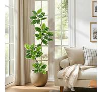 Ficus lyre (Fiddle Leaf Fig), ficus éléphant - Arbre artificiel sur pied - 210 cm - Pour l'extérieur - Plastique - Jaune fluo