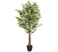 FICUS - Plante artificielle Vert