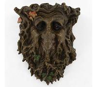 Fiesta Studios Plaque murale décorative de jardin, motif visage Treant/homme feuillu 22 cm.