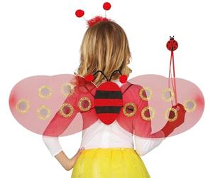 FIESTAS GUIRCA Ailes Mariq. 78 x 26 cm avec bandeau et baguette