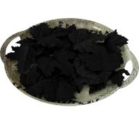 FIESTAS GUIRCA Feuilles de citrouilles noires 24 pièces 9-10 cm
