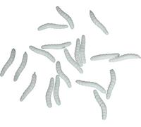 FIESTAS GUIRCA Lot de 20 vers élastiques (4 cm) - Décoration d'Halloween pour fêtes d'animaux et d'insectes - Idéal pour célébrations et événements terrifiants - Blanc