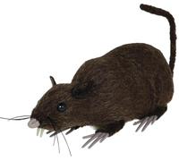 FIESTAS GUIRCA | Rat Marron de Décoration (15 cm) - Accessoire Réaliste pour Fêtes d'Halloween et Célébrations d'Animaux et Insectes - Idéal pour Ambiances Effrayantes et Scénarios Terrifiants