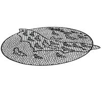 FIESTAS GUIRCA | Set de Table Chauve-Souris Noir (40 cm) - Décoration de Table pour Fêtes d'Halloween Terrifiantes - Idéal pour Célébrations de Peur - Noir