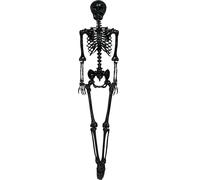 FIESTAS GUIRCA Squelette noir (90 cm) - Décoration d'Halloween pour fêtes et célébrations - Idéal pour les environnements terrifiants et sur le thème des crânes et des squelettes - Noir