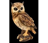 Figuren Shop GmbH Figurine en forme de hiboux Grande figurine pour oiseaux, décoration d'intérieur, statue, sculpture, H 26 cm