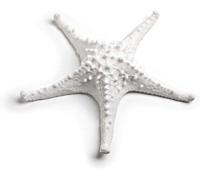 Figurine de maison - Petite maison décorative - Blanche - Taille moyenne - Résine
