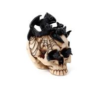 Figurine décoratif Crâne avec Chauve-souris à l'intérieur Puckator Blanc 13,5x12x13,5 cm
