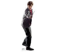 STAR CUTOUTS Issu des livres officiels Harry Potter Mini découpe en carton de Harry Potter (Daniel Radcliffe), 92 x 25 x 92 cm