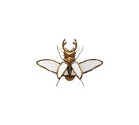 Figurine insecte en résine dorée, décorative - Chehoma, Miroirs - 28x39x2 cm