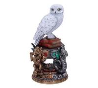 Figurine médium Nemesis Now Hedwig 22 cm Multicolore 15x15x22 cm