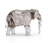 Elegance of Africa SCS Édition Annuelle 2022 Éléphant Fayola OS