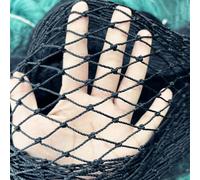 Filet à oiseaux noir, filets de jardin robustes, balcon, clôture et cultures de jardin, clôture de protection, maille Anti-oiseau, cerf, chat, chien 3mx5m