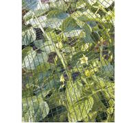Filet anti-grêle TENAX 2 x 5 m protection renforcée