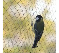 Filet anti-oiseaux, 10 x 6 m de large, filet anti-oiseaux, filet de protection solide pour bassin de jardin, pour fruits, légumes--