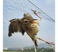 Filet anti-oiseaux, filet anti-oiseaux, filet d'étang, pièges, cultures, arbre fruitier, fleur, jardin, maille, outil de lutte antiparasitaire, livraison directe 3m X 8m