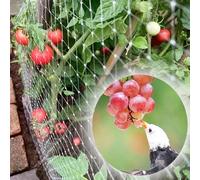 Filet anti-oiseaux robuste - Treillis en nylon transparent de 2 à 40 m de large pour plantes de jardin, volaille (30 m x 30 m)