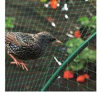 Filet anti-oiseaux - TBEST - BELLE TECH 4 x 10 m - Vert - Maille 1,2-1,5 cm - PE