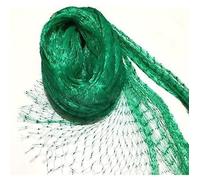 Filet Anti-Oiseaux Vert , Filet de Protection Anti Oiseaux et Animaux Filet Jardin Idéal pour Légumes, Étangs 4*10M -LAV
