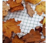 Filet d'étang 15m x 8m filet de protection pour hérons Filet de protection pour feuilles mortes Filet de protection pour oiseaux Filet de protection pour feuilles mortes