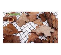 Filet De Bassin 6 M X 6 M Noir, Filet D'étang À Poisson, Filet À Feuilles, Filet, Filet De Protection Contre Les Oiseaux, Robuste Noir