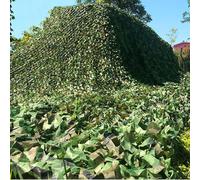Filet de Camouflage 1x2m 1.5x4m 2x4m 6x8m 5x10m 10x18m 3x15m Filet D'ombrage pour terrasse, la Chasse, Protection Solaire, Bâche Camouflage(Taille:6x11m)