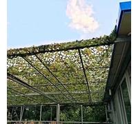 Filet de Camouflage renforcé Voile d'ombrage Camouflage, 6x6m 6x8m 7x9m 8x8m 9x9m Militaire Filets De Protection Solaire pour la Chasse, Le Camping Parasols Extérieurs à la Verdure ( Taille : 6x10m )