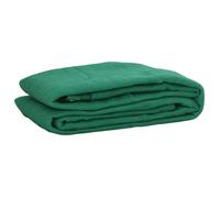 Filet de remorque - vidaXL - 300x200 cm - Vert - Polyester et HDPE - Tricot fin - Corde élastique 6 mm