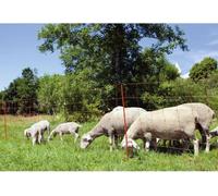 Filet Électrifiable Mouton Kerbl OviNet, 50 m Longueur, 90 cm Hauteur, 14 Piquets