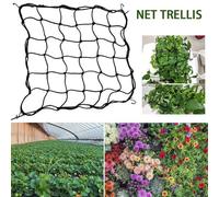 Filet En Treillis Pour Légumes, Tente De Culture De Fleurs Réglable Avec Crochet, Support Élastique Pour Plantes