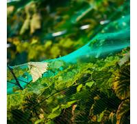 Filet pour arbres fruitiers Filet de protection contre le feuillage Filet de jardinage Filet de protection des oiseaux 5 x 100m Filet de protection vert