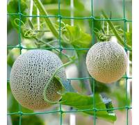 Filet pour Grimpants, Filet pour Concombres Grimpants Filet Jardin Treillis | Nylon, 18 Brins, Mailles de 10×10 cm, Adapté aux Plantes Grimpantes, Concombres, Tomates, et Fleurs(0.9mx1.8m/2.95x5.91ft)