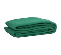 Filet pour remorque - vidaXL - 2,5x3,5 m - Vert - PEHD - Résistant UV